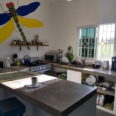 Dragonfly Hotel Treasure Beach Ngoại thất bức ảnh
